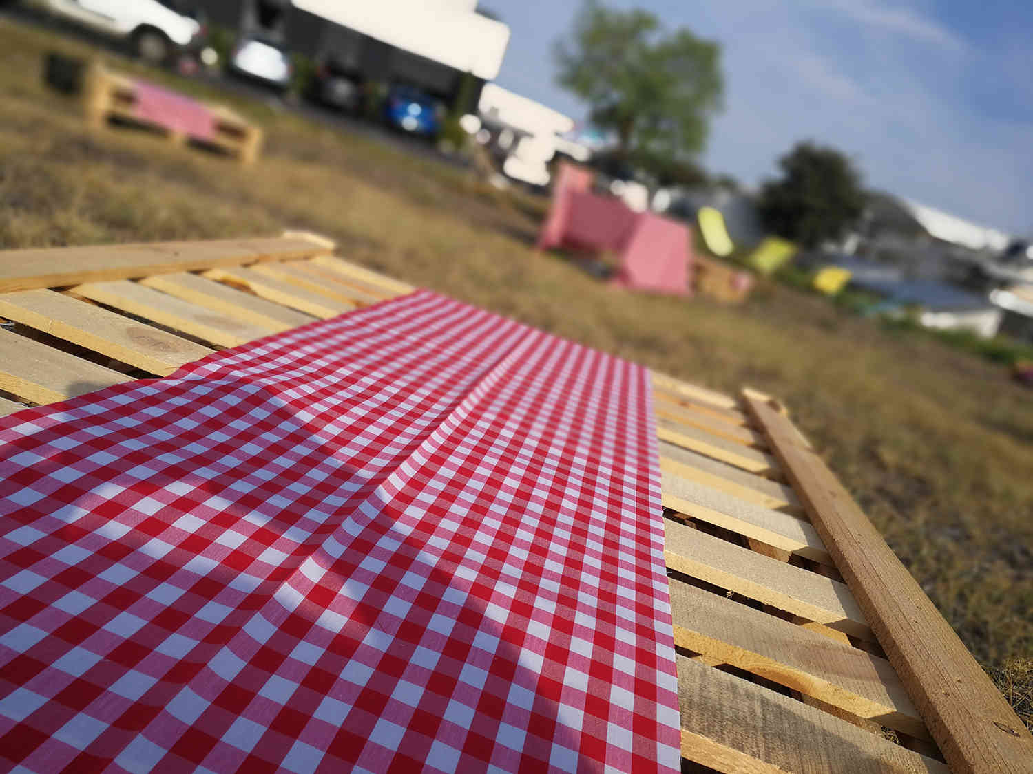 picnic-BBQ-NEOSUP (2)