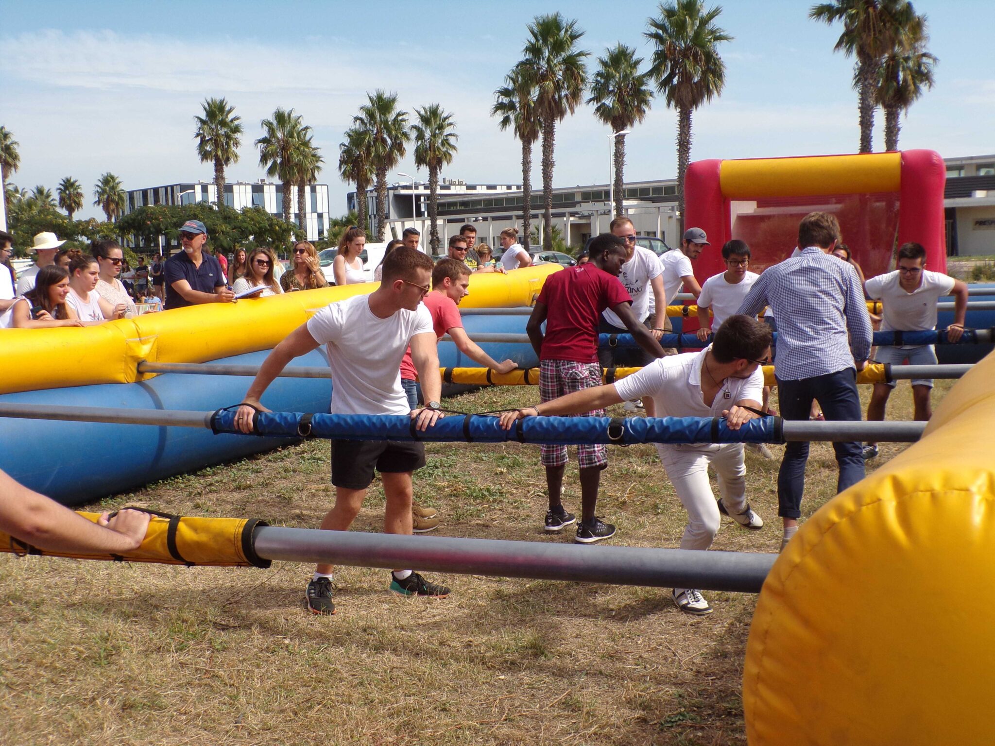 Pique Nique NEOSUP 2019 - Photos C. Astic DTS 1 (13)