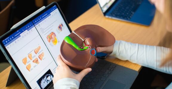 DTS Imagerie Médicale et Radiologie Thérapeutique