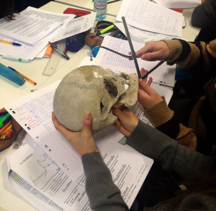 Cours d’anthropologie des DTS 1