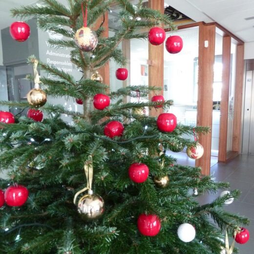 C’est Noël !