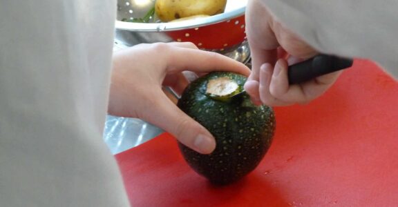 Les métiers de la nutrition