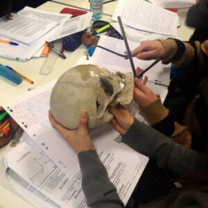 DTS Imagerie Médicale et Radiologie Thérapeutique